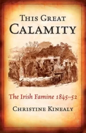 Image of This great calamity by Christine Kinealy