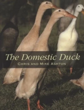 Image of The domestic duck by Chris Ashton