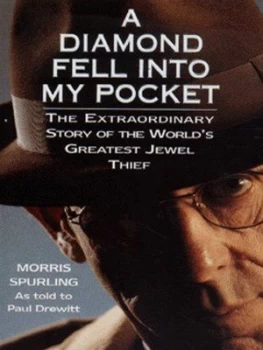 Image of A Diamond Fell into My Pocket by Morris Spurling Paperback