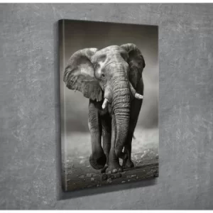 Image of DC064 Multicolor Decorative Canvas Painting