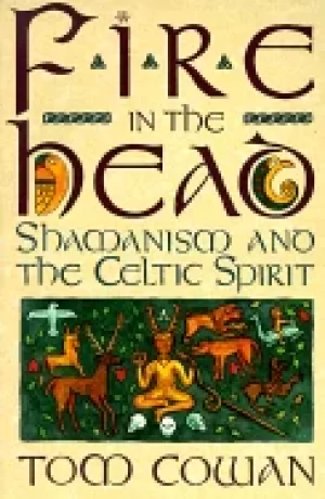 Image of fire in the head shamanism and the celtic spirit