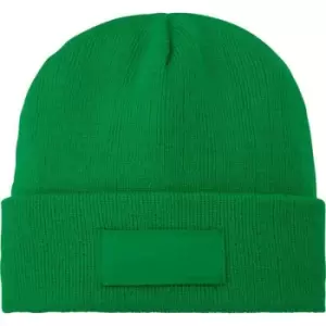 Image of Bullet Boreas Beanie With Patch (One Size) (Fern Green)