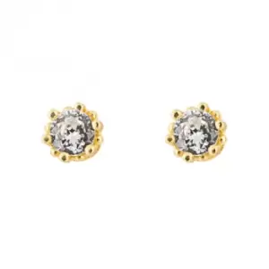 Image of Gold Plated Zirconia Stud Earrings E6272C
