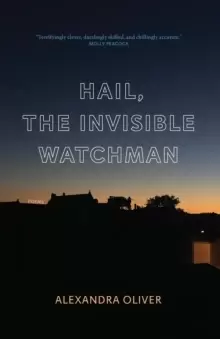 Image of Hail, The Invisible Watchman