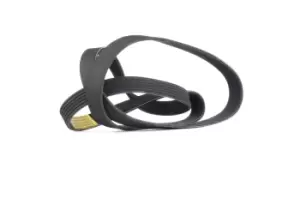 Image of RIDEX V-ribbed belt 305P0087 Serpentine belt,Auxiliary belt BMW,OPEL,RENAULT,3 Touring (E91),3 Limousine (E90),1 Schragheck (E87),3 Coupe (E92)
