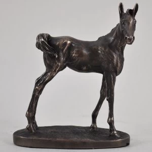 Image of Foal by David Geenty
