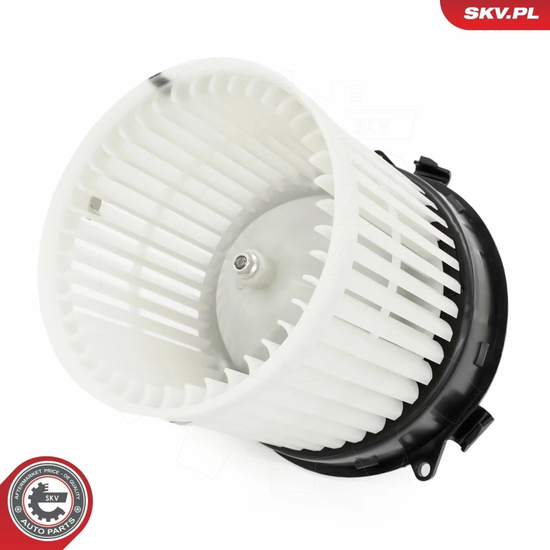 Image of ESEN SKV Blower motor ESEN SKV 68SKV161