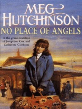 Image of No Place of Angels by Meg Hutchinson Book