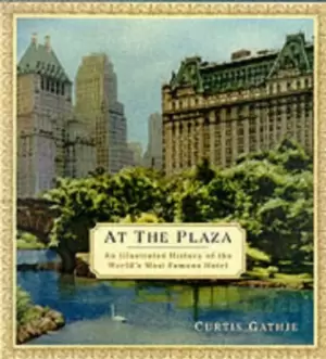 Image of At the Plaza by Curtis Gathje