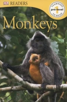 Image of Monkeys Paperback