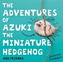 Image of The Adventures of Azuki the Miniature Hedgehog and Friends