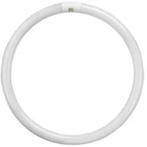 Image of Crompton Lamps Fluorescent T9 Circular 60W 4-Pin Cool White FC60W/840