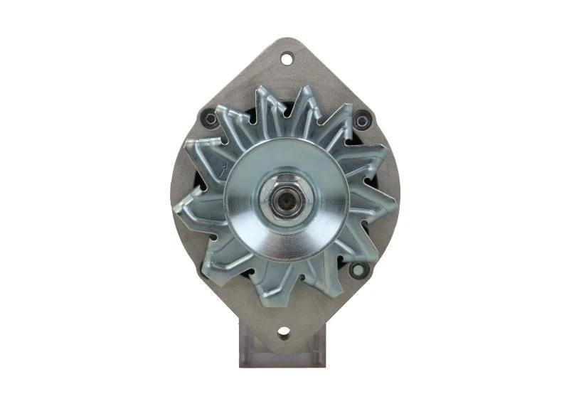 Image of BV PSH Alternator BV PSH 705.010.080.311