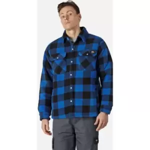 Image of Dickies Portland Shirt Royal Blue 3XL