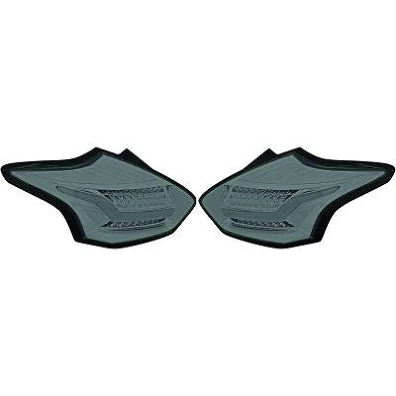 Image of Rear combination lights DIEDERICHS 1419996