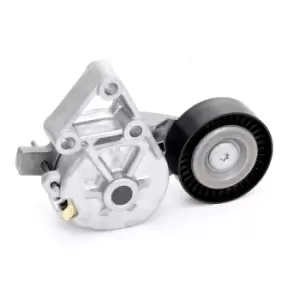 Image of INA Tensioner Lever, v-ribbed belt VW,AUDI,FORD 534 0132 30 038903315AE,038903315F,1122523 1376631,YM216K254AA,YM216K254EA,038903315AE,038903315F