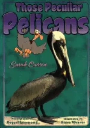 Image of those peculiar pelicans