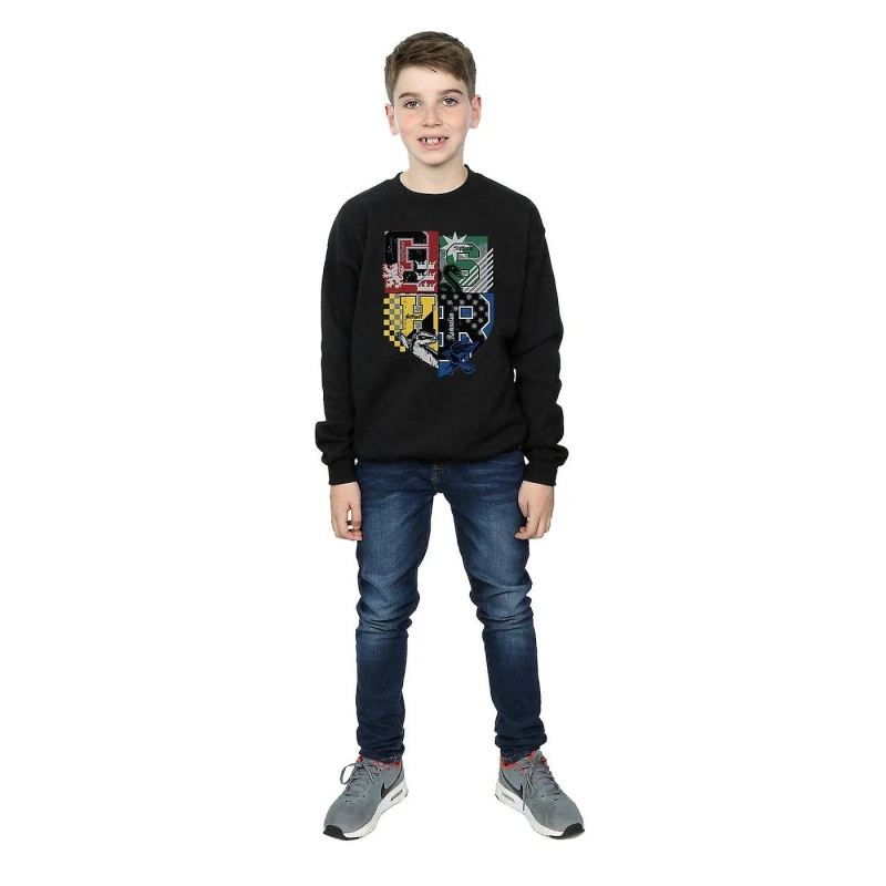 Image of Harry Potter Hogwarts Houses Sweatshirt Black male