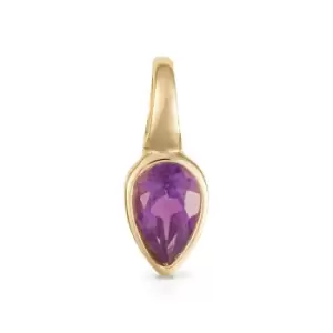 image of JG Signature Gold Plated February Birthstone Teardrop Pendant Charm