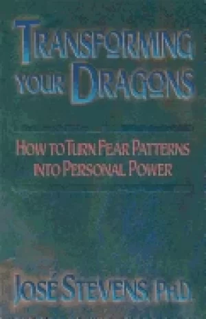 Image of transforming your dragons how to turn fear patterns into personal power