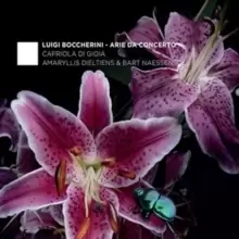 Image of Boccherini: Arie Da Concerto