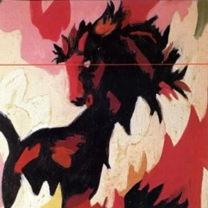 image of Arab Strap - The Red Thread CD