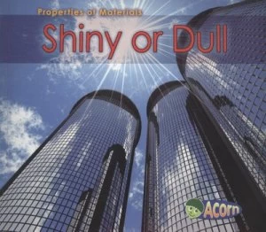 Image of Shiny or Dull by Charlotte Guillain Book