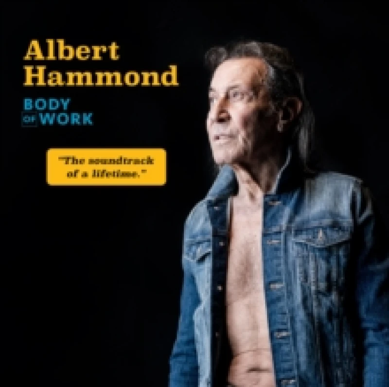 Image of Body of Work CD / Album