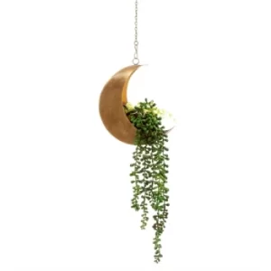 Image of Celestial Moon Hanging Planter