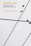Image of power lines electricity in american life and letters 1882 1952