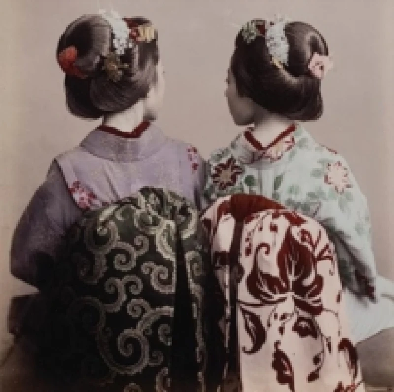 Image of Japan on a Glass Plate : The Adventure of Photography in Yokohama and Beyond, 18531912 Hardback