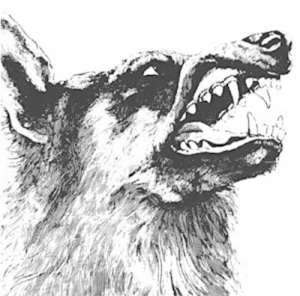 Image of I Vigilante by Crippled Black Phoenix CD Album