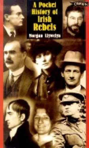 Image of pocket history of irish rebels