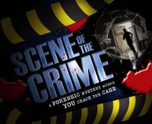 Image of Scene of the Crime by Malcolm Rose and Dave Hill Book