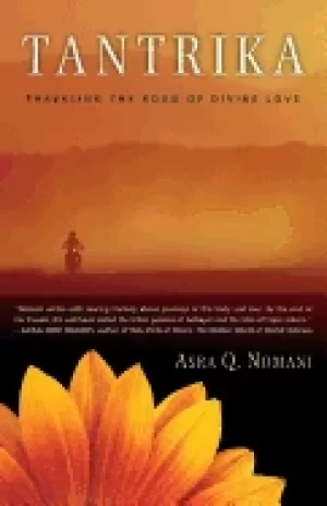 Image of tantrika traveling the road of divine love