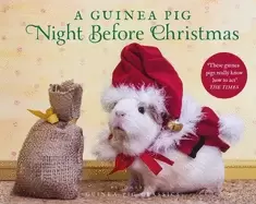 Image of guinea pig night before christmas