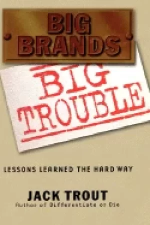 Image of big brands big trouble lessons learned the hard way