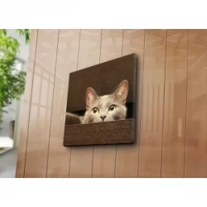 Image of 4545NAT-10 Multicolor Decorative Canvas Painting