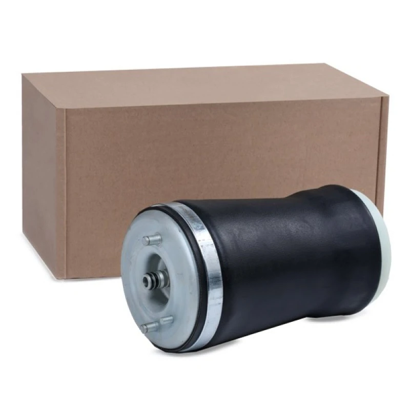 Image of Air Spring, suspension RIDEX 4119A0019