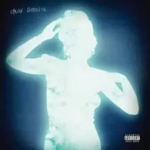 Image of Dear Amelia