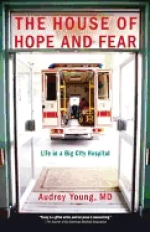 Image of house of hope and fear life in a big city hospital