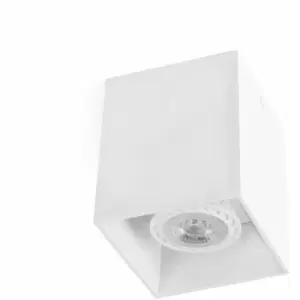 image of Tecto white ceiling light 1 bulb