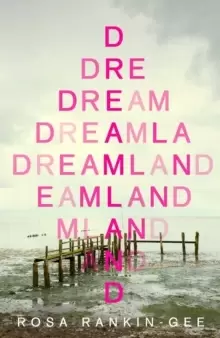 Image of Dreamland : An Evening Standard 'Best New Book' of 2021
