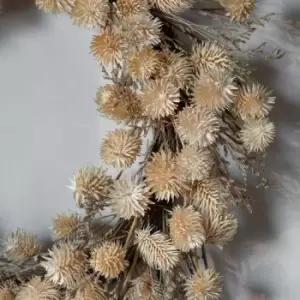 Image of Crossland Grove Dried Thistle Wreath Natural D460Mm
