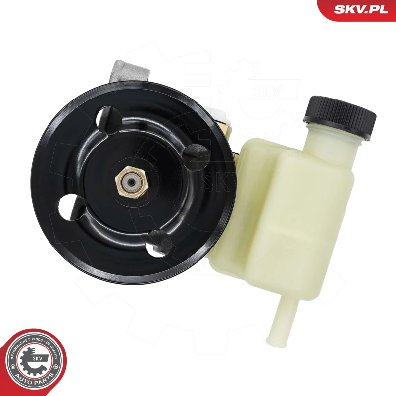 Image of ESEN SKV Power steering pump ESEN SKV 10SKV336