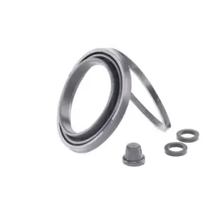 Image of MAXGEAR Brake Caliper Repair Kit FORD,RENAULT,FIAT 27-0484 7901444838,1572589,1595762 5023217,5023218,77FB2B107AA,77FB2L231DD,77FB2L231DE,77FB2L231DF