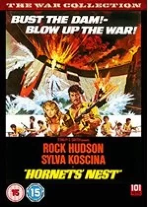 Image of Hornet's Nest (1970)