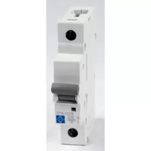 Image of Lewden E10-1C63 Sp Type C 63A 10KA Mcb