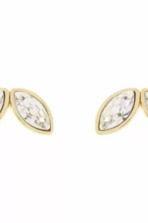 Image of Ted Baker Ladies Gold Plated Genii Geometric Bee Stud Earring TBJ1625-02-02