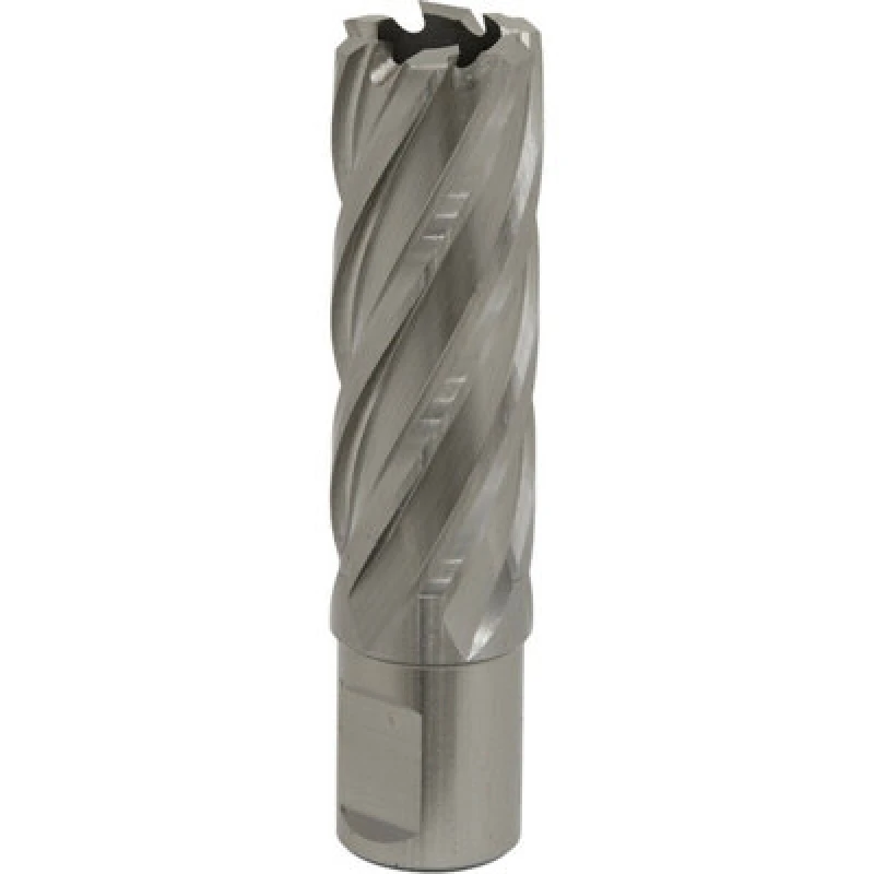 Image of Loops 22mm x 50mm Depth Rotabor Cutter - M2 Steel Annular Metal Core Drill 19mm Shank Metallics